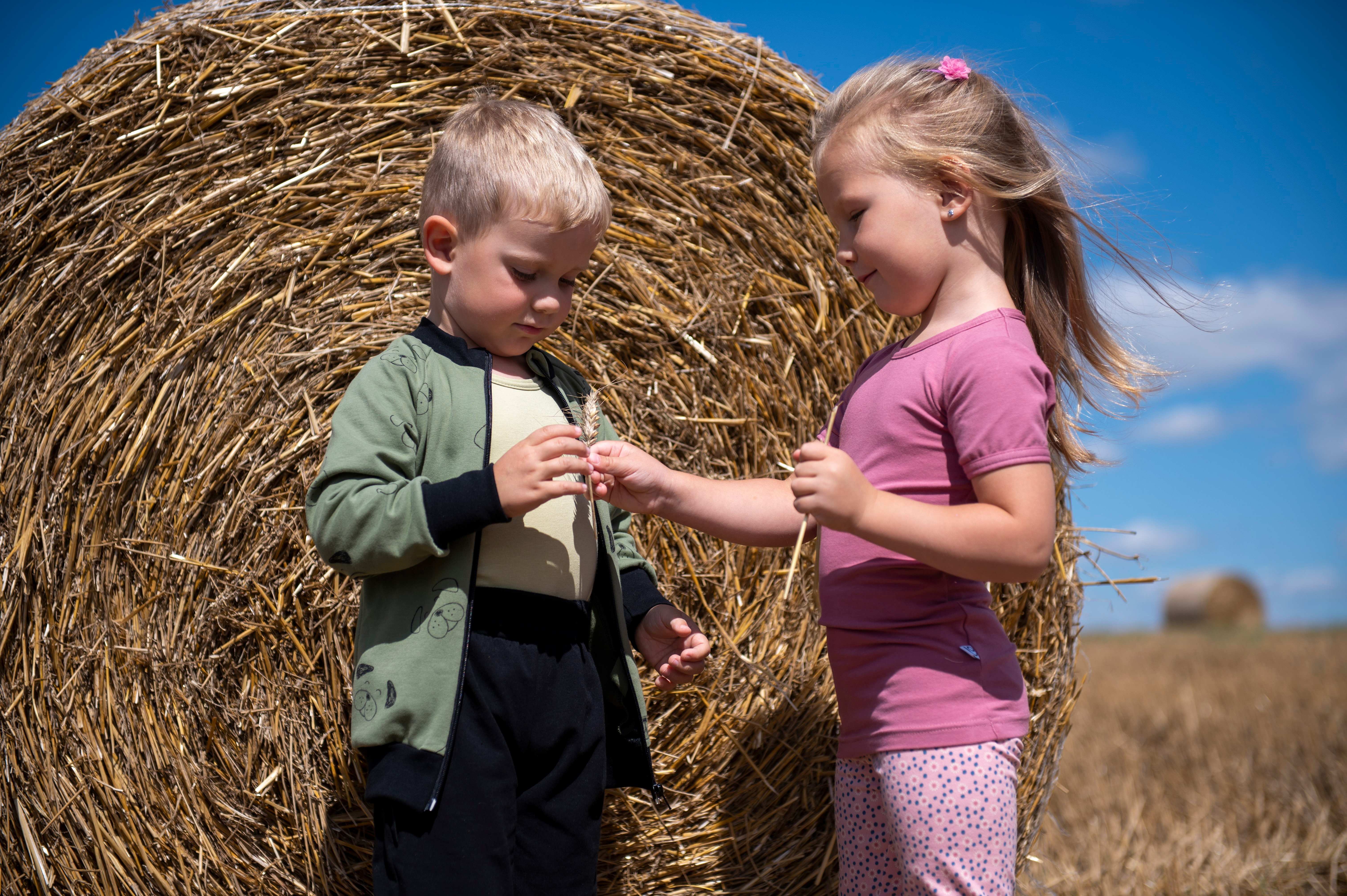 Mikina rozepínací - zelená pejsci 104